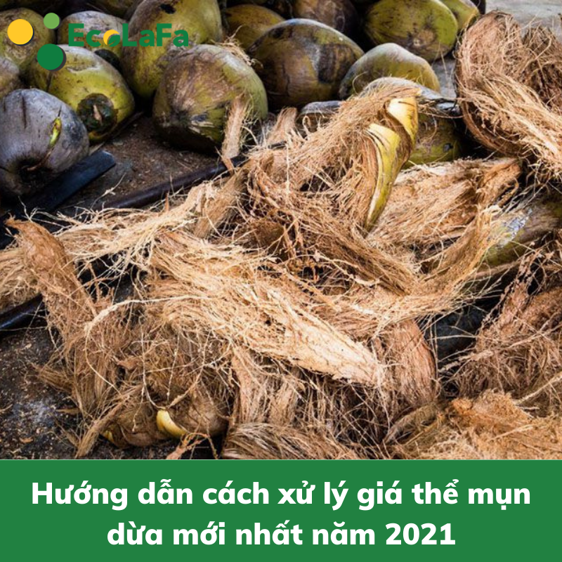 1 Hướng dẫn cách xử lý giá thể mụn dừa mới nhất năm 2021