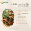 công dụng chậu đất nung vintage trồng cây sen đá