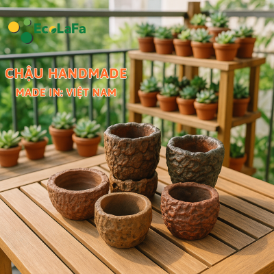 Chậu đất nung trồng Sen Đá Vintage