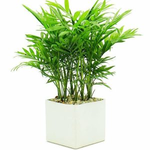Cau tiểu trâm mini để bàn làm việc