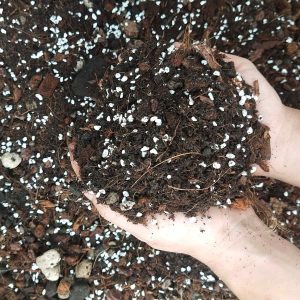 Giá thể trồng kiểng lá LAFA GARDEN, túi 1kg (5dm3) giá thể trộn sẵn