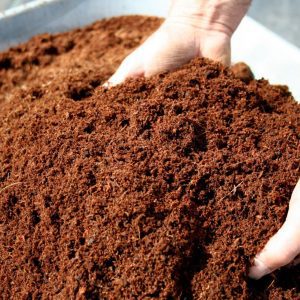 Lớp phủ hữu cơ cho cây trồng LAFA OM9 phủ mát cho cây hoa kiểng, giống mới gieo trồng túi 5dm3